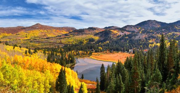 AdobeStock_238841855_215c5e33-aa87-45b3-adc0-295d13db5411